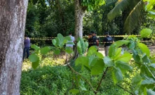 Corpo é encontrado em região de mata, em João Pessoa; suspeita é que seja de jovem desaparecida