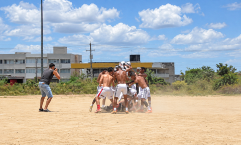 Abelhas atacam jogadores e partida de futebol é interrompida, em Campina Grande