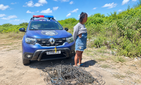 Guarda Civil Metropolitana prende casal suspeito de furto de cabos e fios no bairro dos Bancários