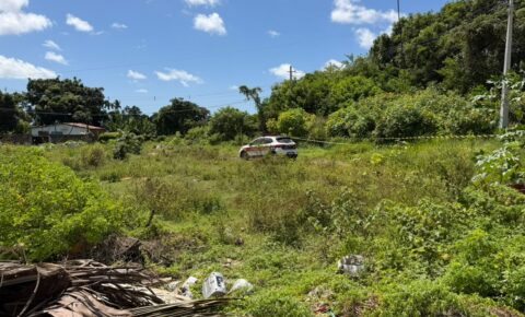 Cabeça é encontrada em área de mata em João Pessoa e polícia investiga se pertence a jovem morto no Taipa
