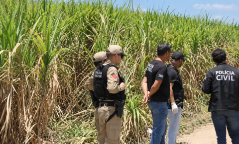 Corpo carbonizado e com corte no pescoço é encontrado perto de canavial, em Lucena